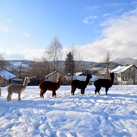Villa Sonnenhuegel ซวีเซิล ภายนอก รูปภาพ